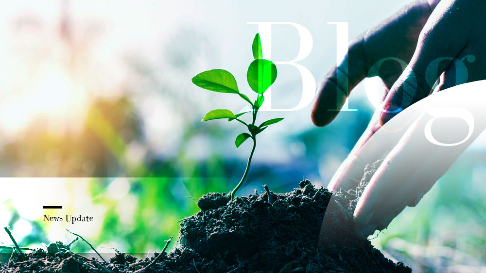 Increasing-Greenery-by-Planting-Trees-and-Distribution-of-Plant-Seeds