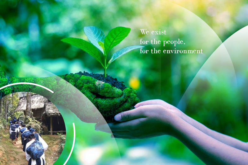 profil-Yayasan-Sustanability-Indonesia-Cerah