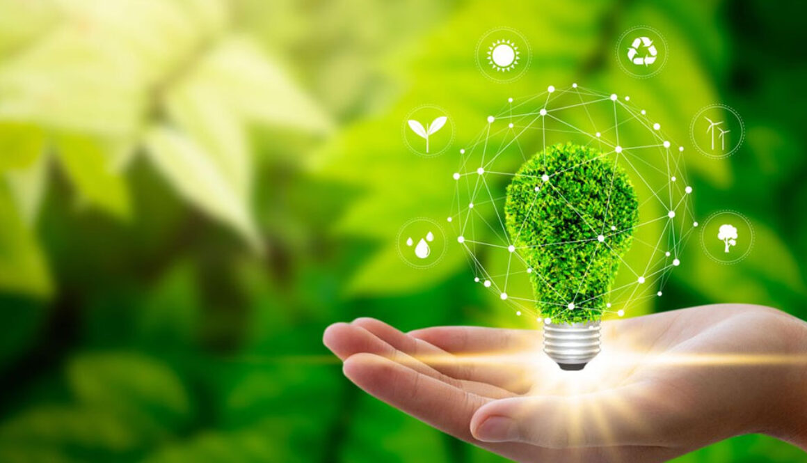 Sustainability Education